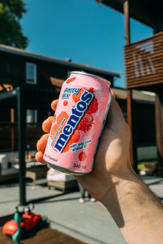 Mentos Berry Mix Meyveli İçecek 340 Ml