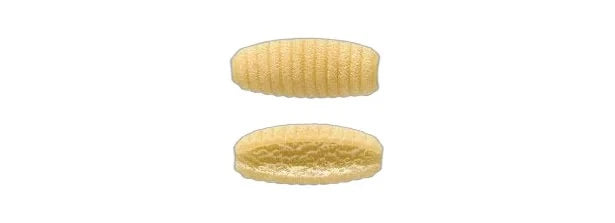 Rummo Gnocchetti Sardi No 63 500 Gr